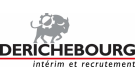 Derichebourg intérim et recrutement Saint-Quentin-Fallavier
