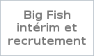 Big Fish intérim et recrutement