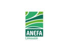 Anefa Limousin