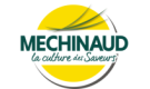Mechinaud