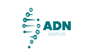 ADN Emploi