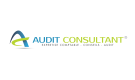 AUDIT CONSULTANT