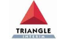 Triangle Intérim Solutions RH