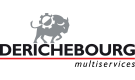 Derichebourg Multiservices