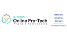 INTERIM ONLINE PROTECH