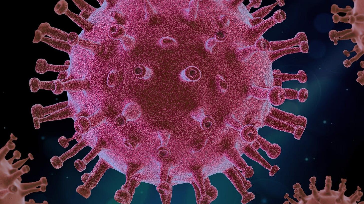 Image d'illustration de l'actualité Le corona virus change l’emploi