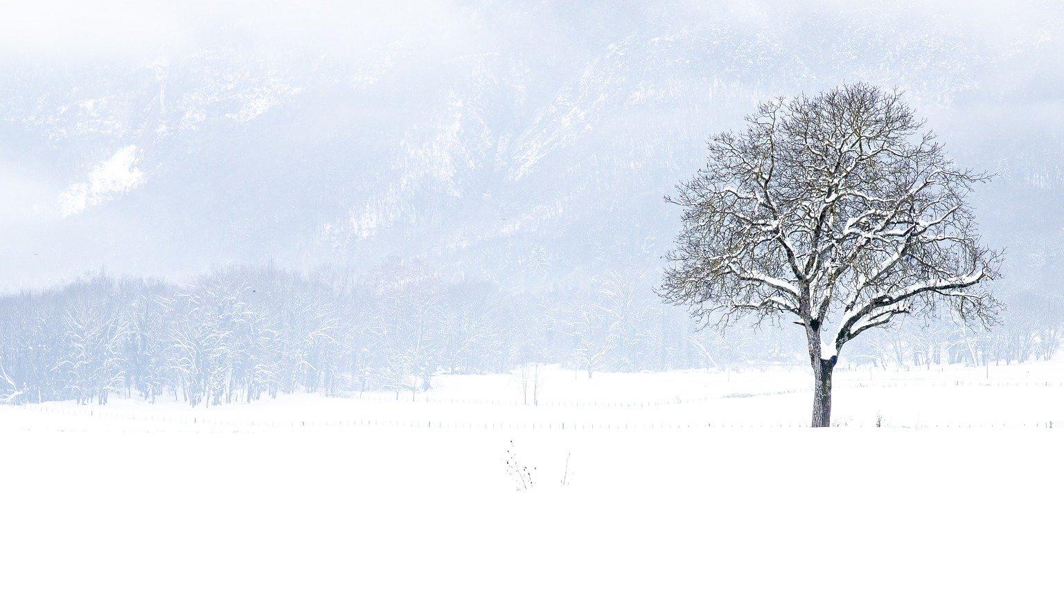 Image d'illustration de l'actualité Emploi en Auvergne-Rhône-Alpes : de nombreuses offres en Savoie et Haute-Savoie 