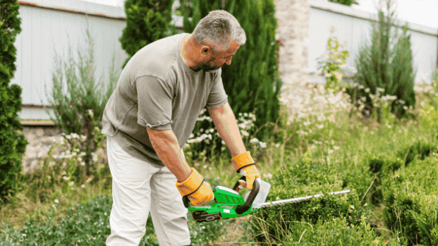 Image d'illustration du métier Espaces verts