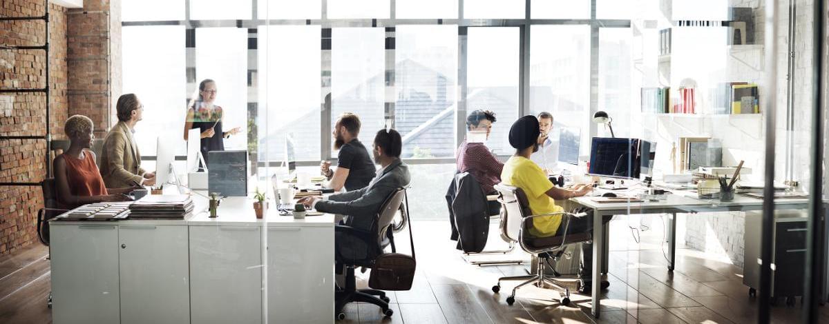 Groupe Bigard Feignies 59 Emploi Et Recrutement Meteojob