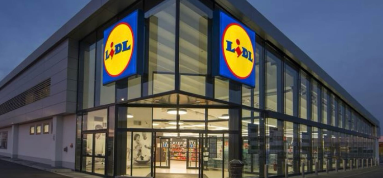 Pourquoi choisir Lidl pour votre alternance en 2026 ?