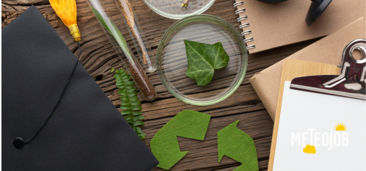 Transition écologique : ces métiers verts qui recrutent déjà en 2025